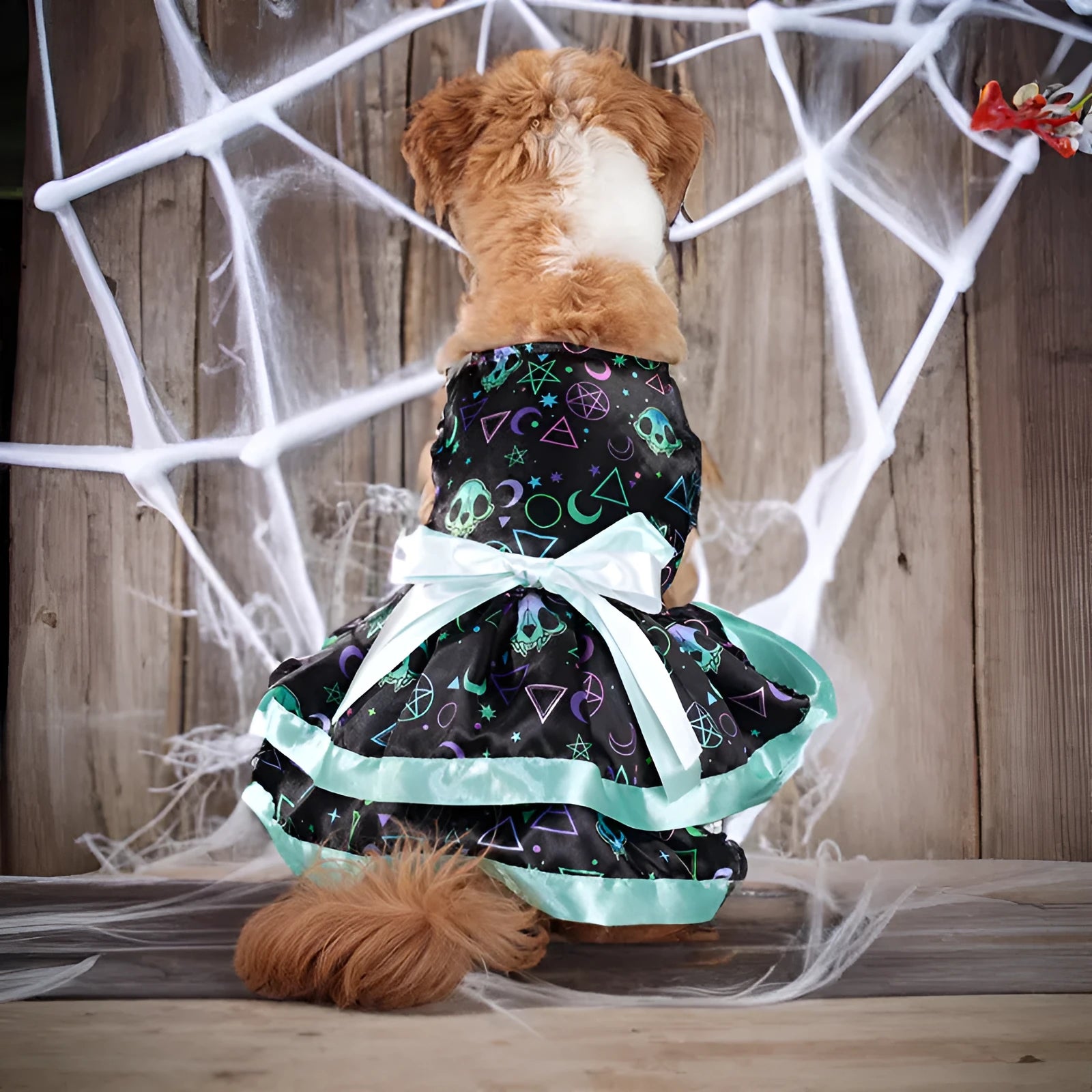 Halloween pet skirt for dogs with colourful pumpkin or skull print in double-layer polyester construction