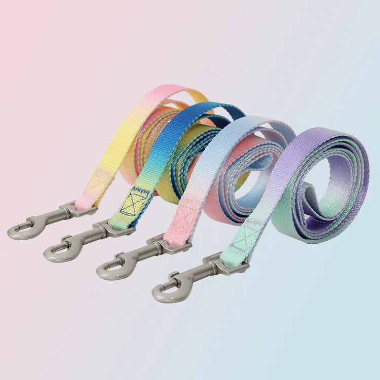 Gradient colour nylon dog leash set with collar and chest back harness options on a small dog.
