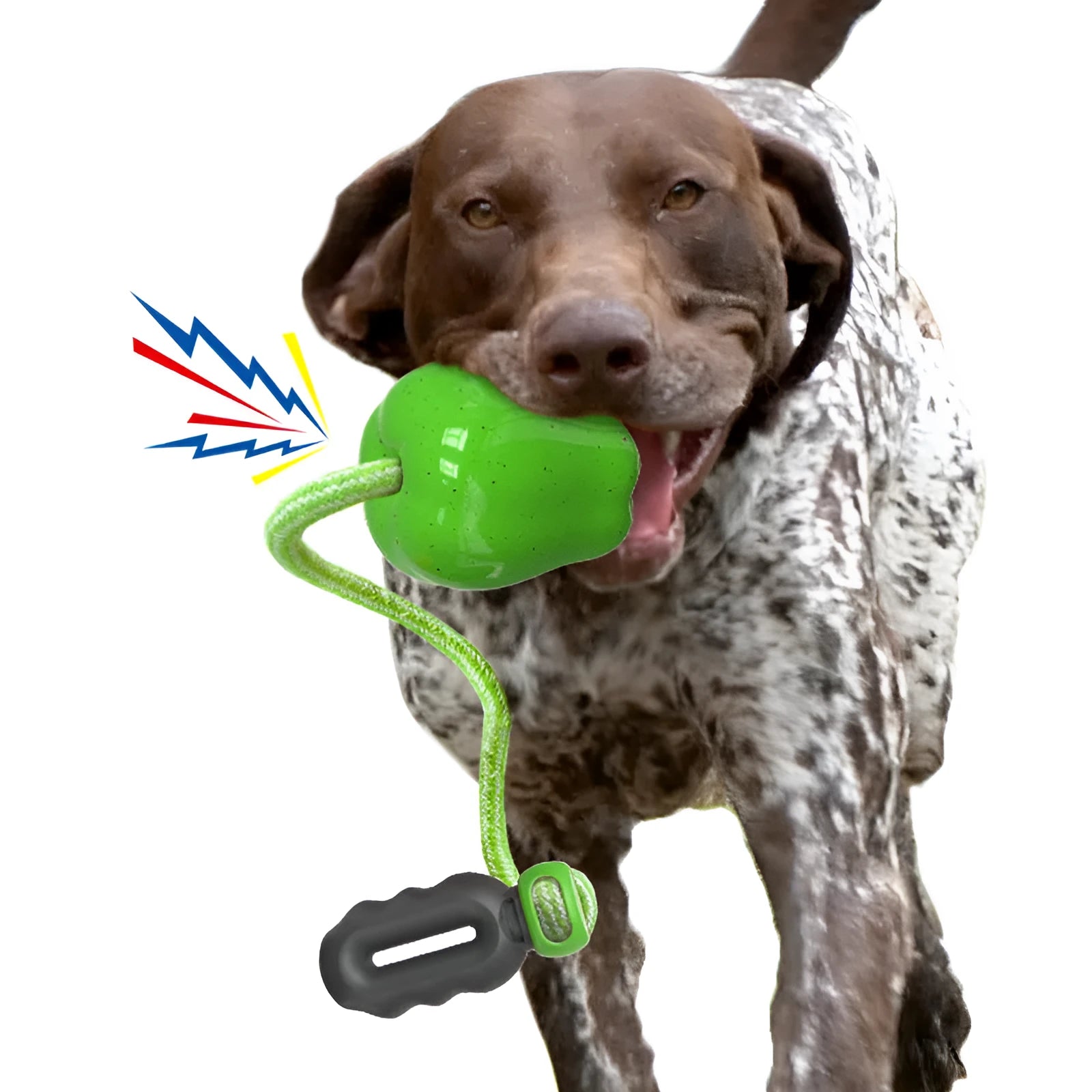 Green apple-shaped plastic dog toy with treat-dropping ball and molar-textured surface