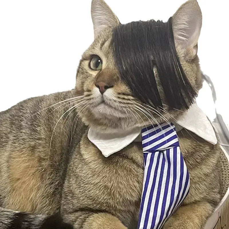 Black imitation braid cat wig with adjustable elastic headband for feline dress-up occasions