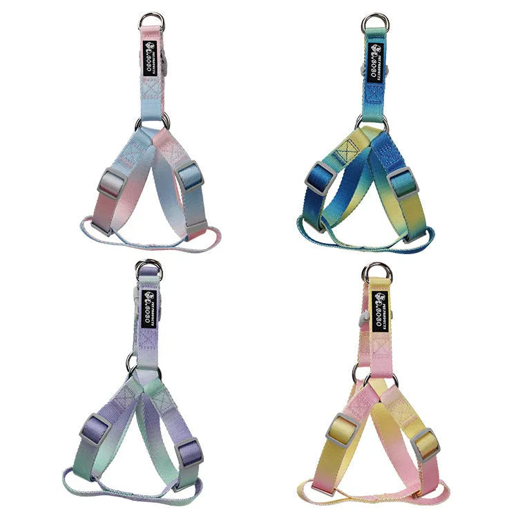 Gradient colour nylon dog leash set with collar and chest back harness options on a small dog.