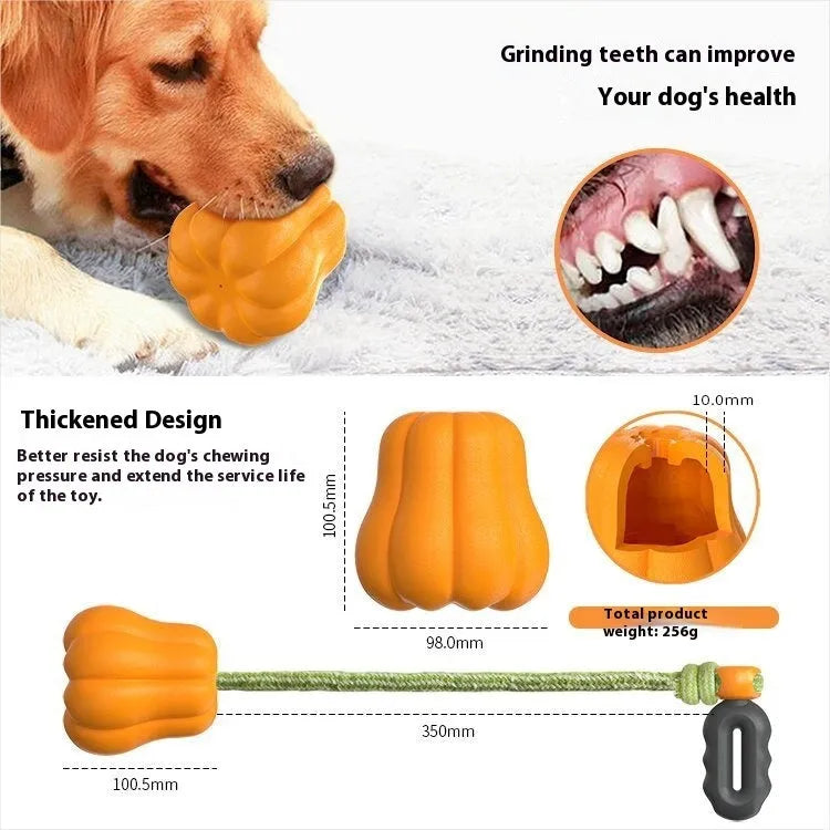 Bite Molar plastic dog fetch toy in single pumpkin colour with rope attachment