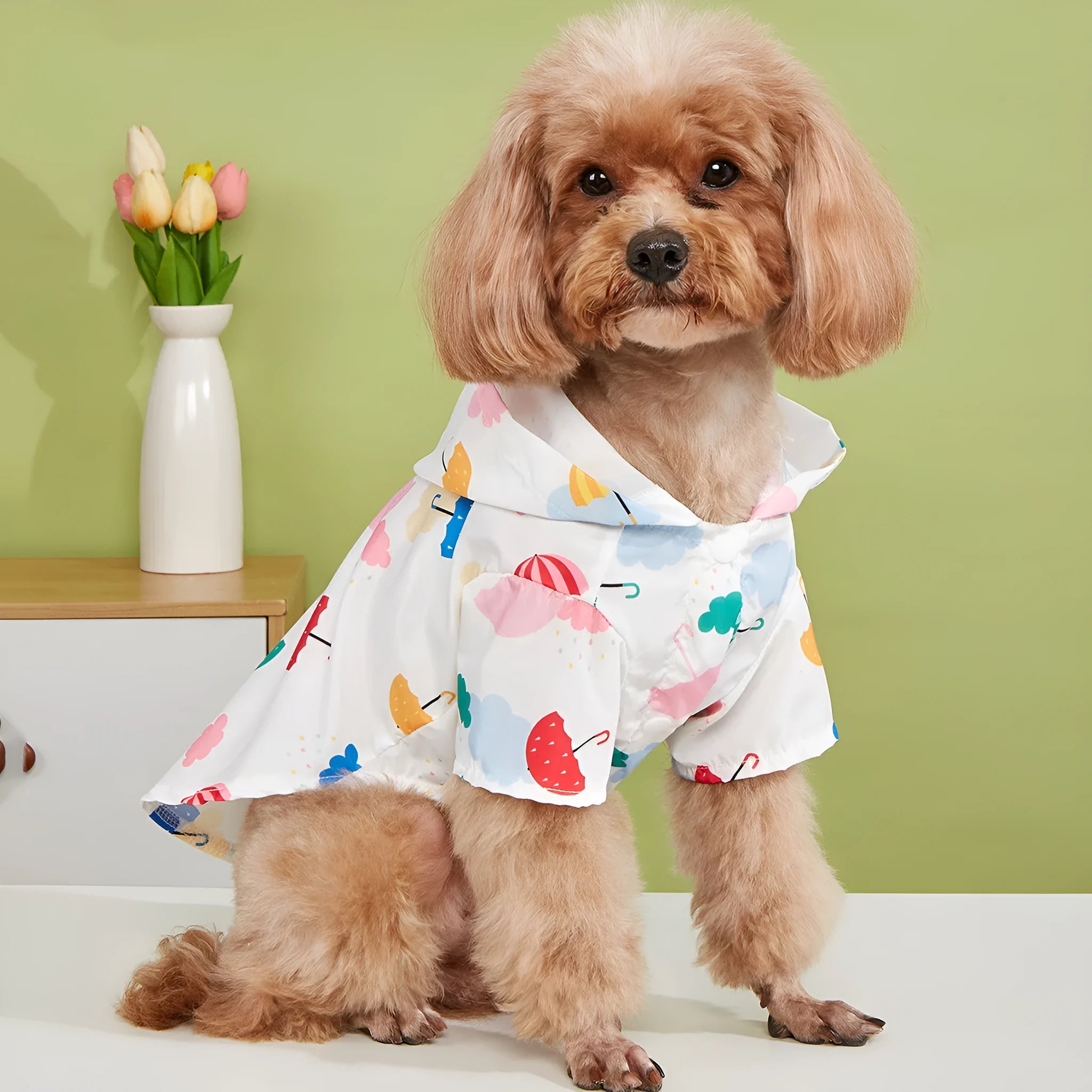 Colourful cartoon umbrella pattern dog raincoat in polyester fabric, size label shown