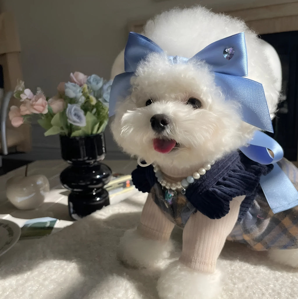 Blue princess-style bow dog hair band with adjustable tension on a model.