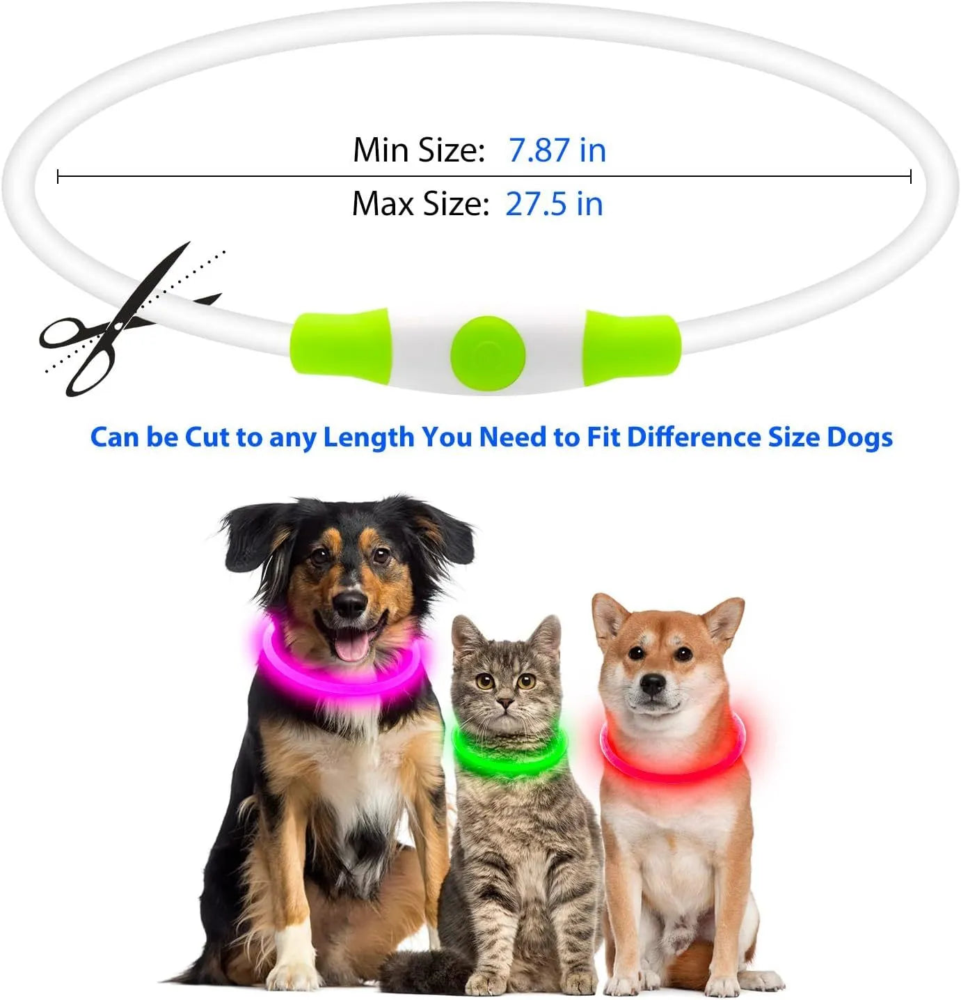 Blue USB rechargeable LED dog collar glowing with adjustable strap and USB charging port