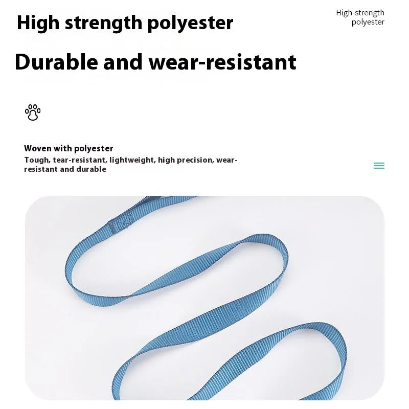 Solid colour polyester dog lead rope held in a hand, showing four different thickness options on a white background.