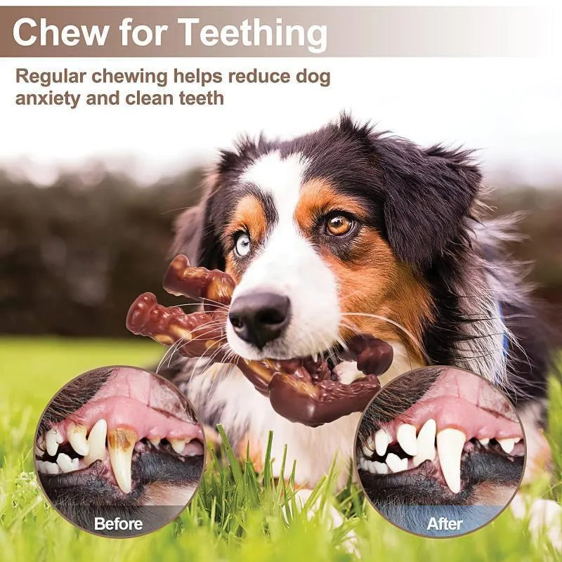 Scarlet nylon dog chew toy with beef flavour for dental cleaning