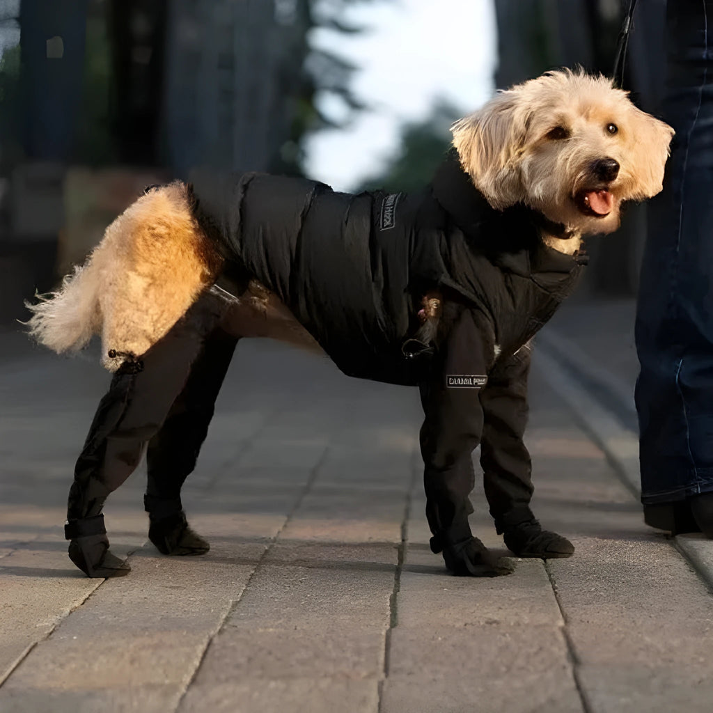 Black waterproof non-slip dog shoes with adjustable strap closure in multiple sizes