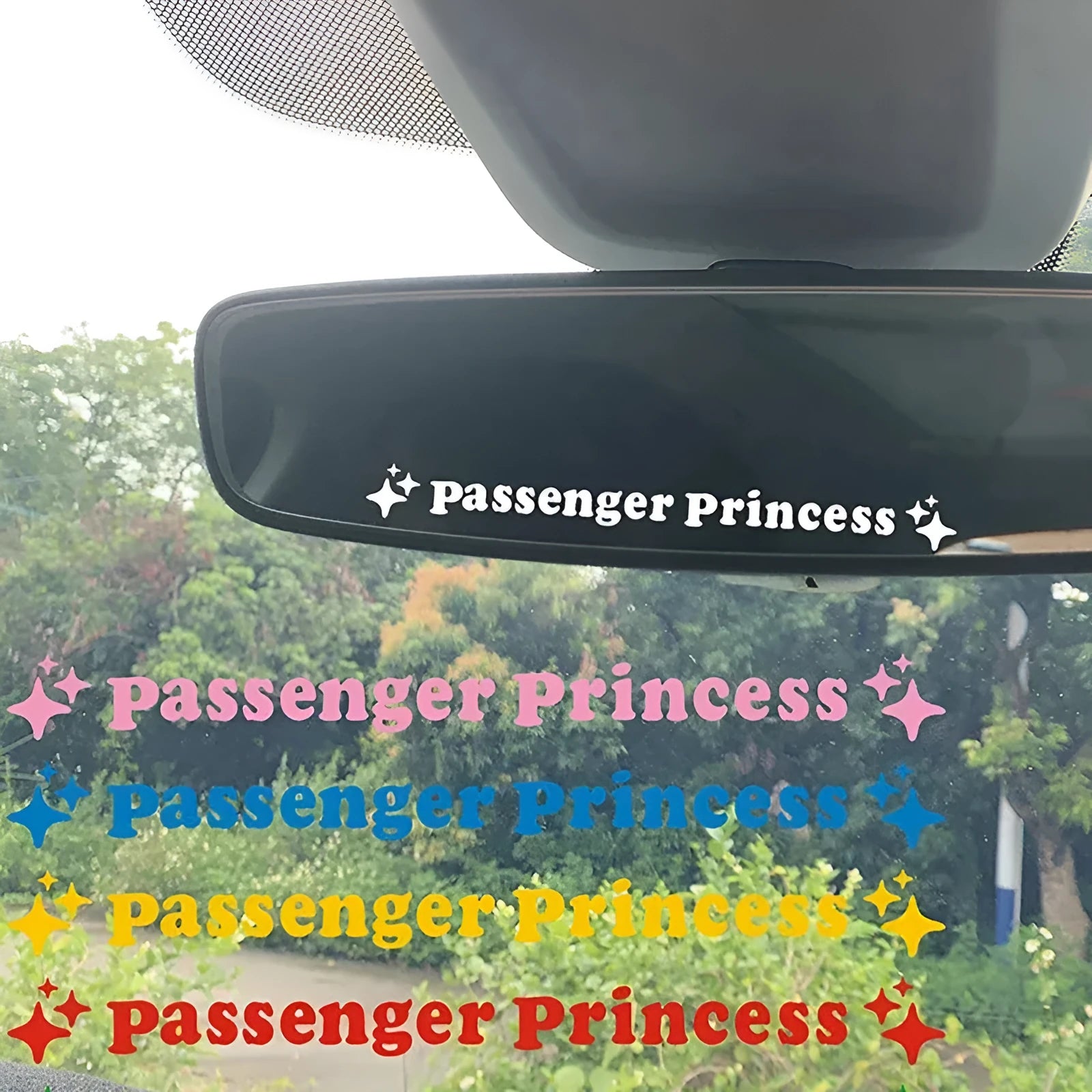 Round 12.5cm Passenger Princess decorative car sticker showing colour options on white background.