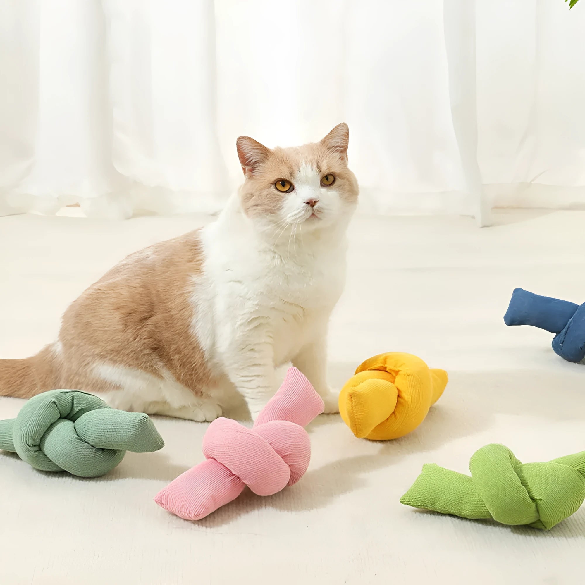 White knotted cotton dog rope toy for tug play and dental flossing
