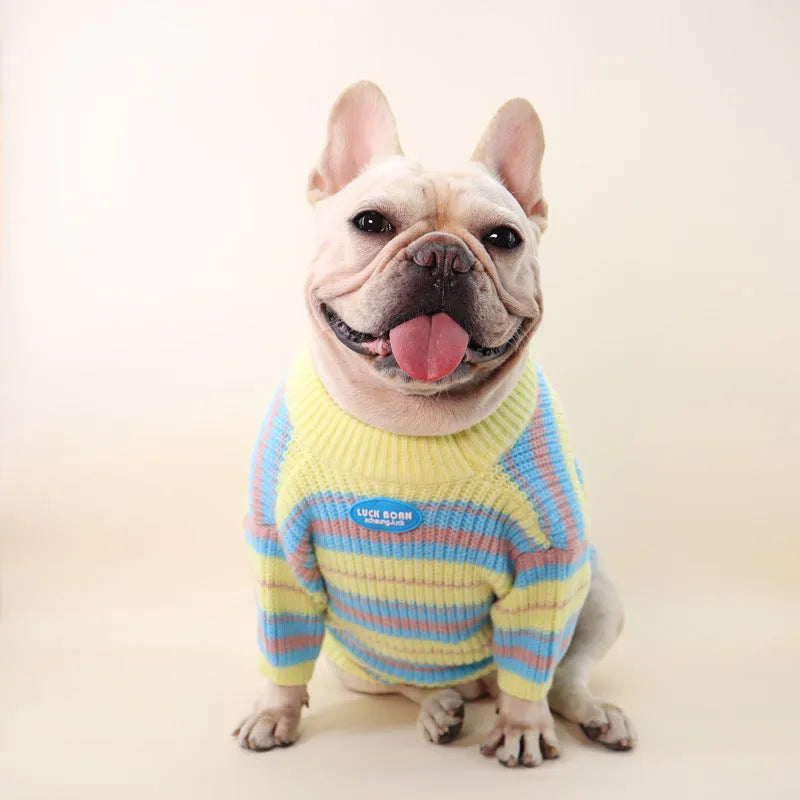 Blue and yellow striped wool dog sweater for small breeds in size L