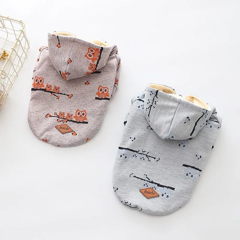 Blue and pink dog sweater with zipper front closure in cotton material showing pattern details