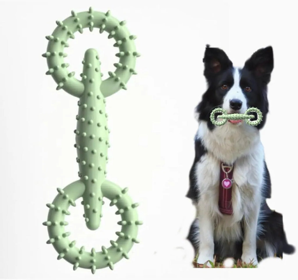 Blue TPR dog chew toy ring board for teething puppies measuring 16cm