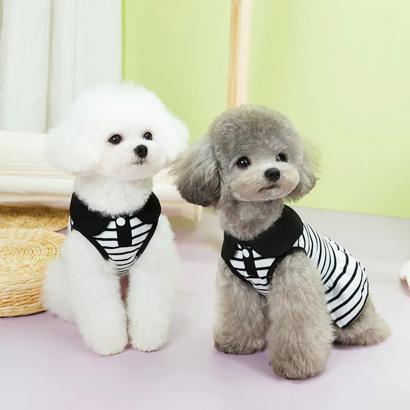 Cotton striped t-shirt and skirt set for pets in summer colours