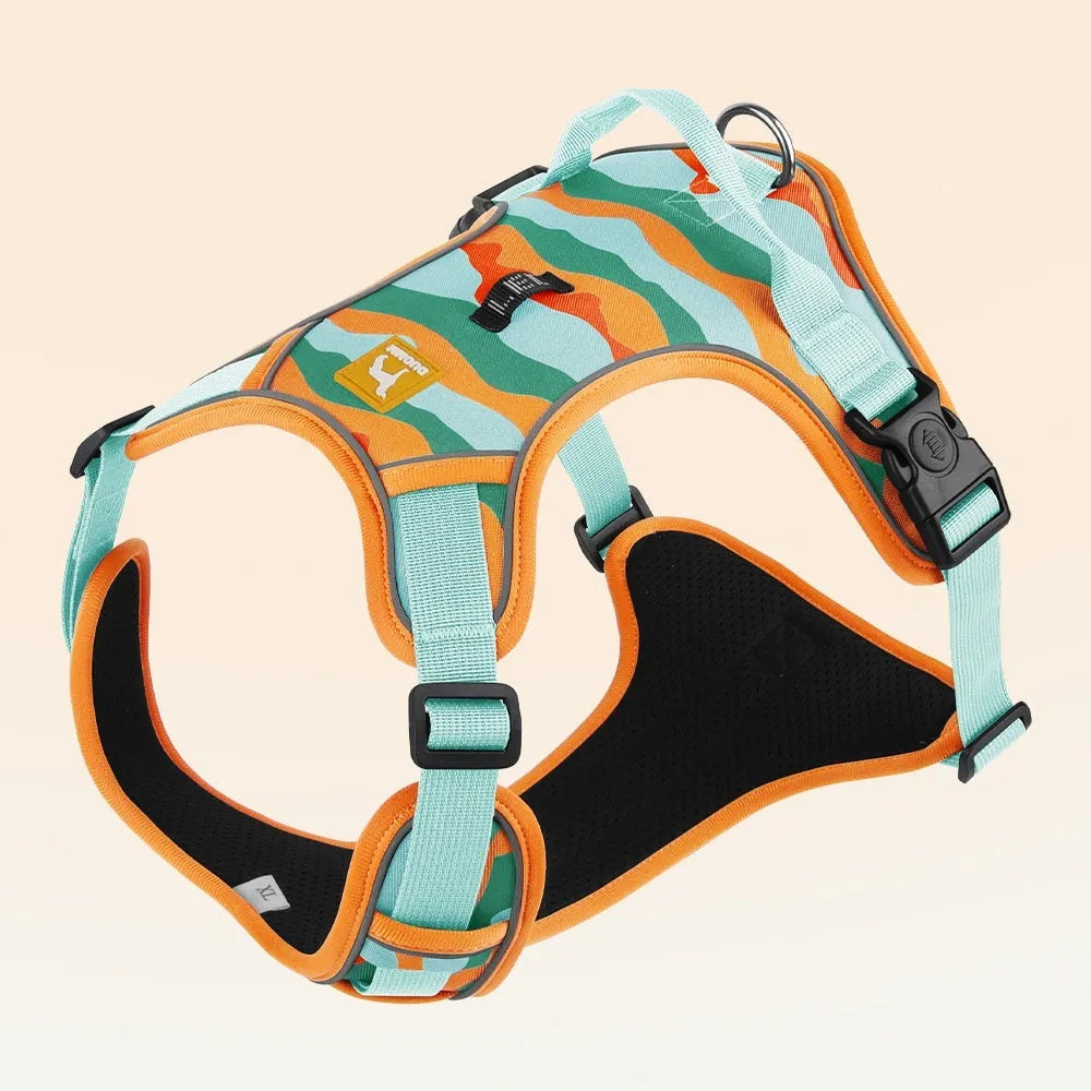 Orange Oxford cloth dog harness with reflective rope on a dog's chest and back