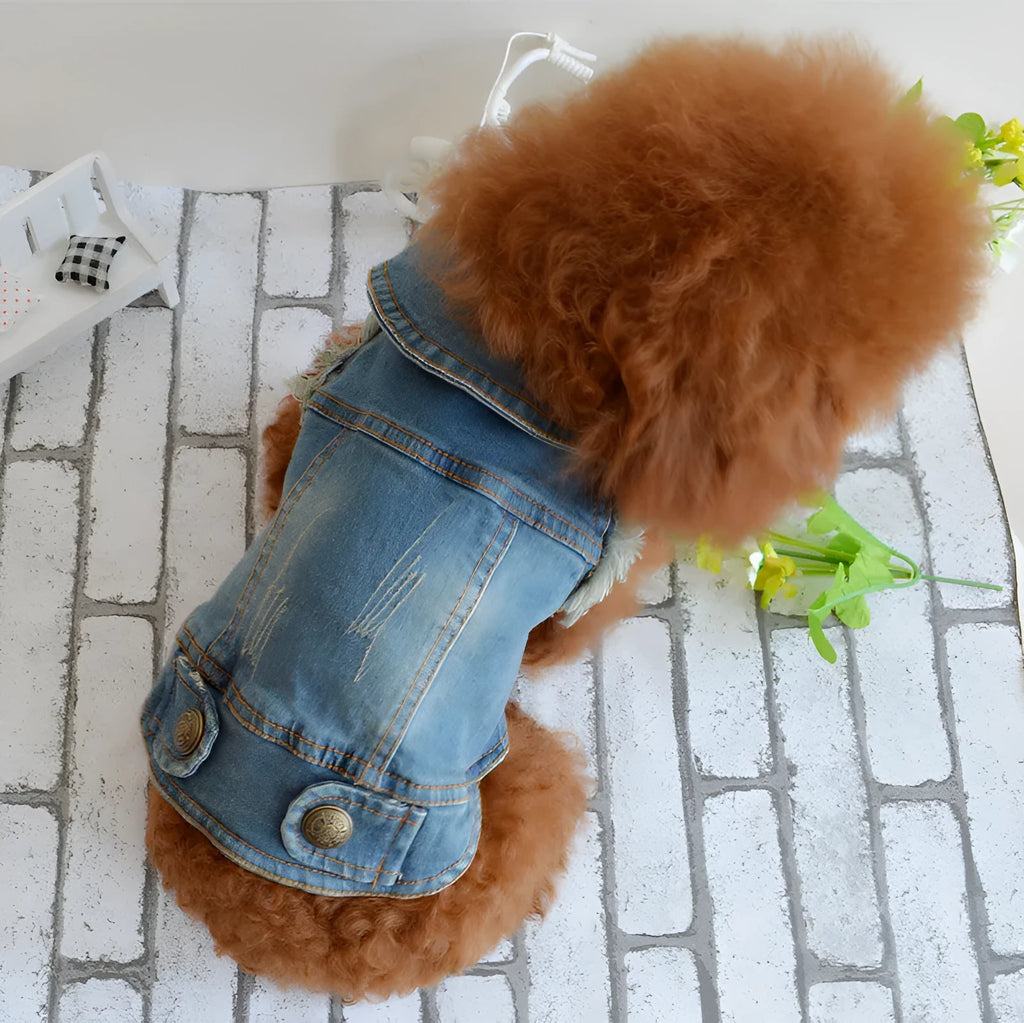 Dark denim dog vest with a retro scratch pattern print on the front, modelled on a small dog.