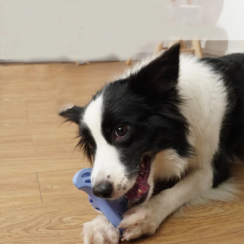 Blue boomerang-shaped bite-resistant dog chew toy for medium and large breeds