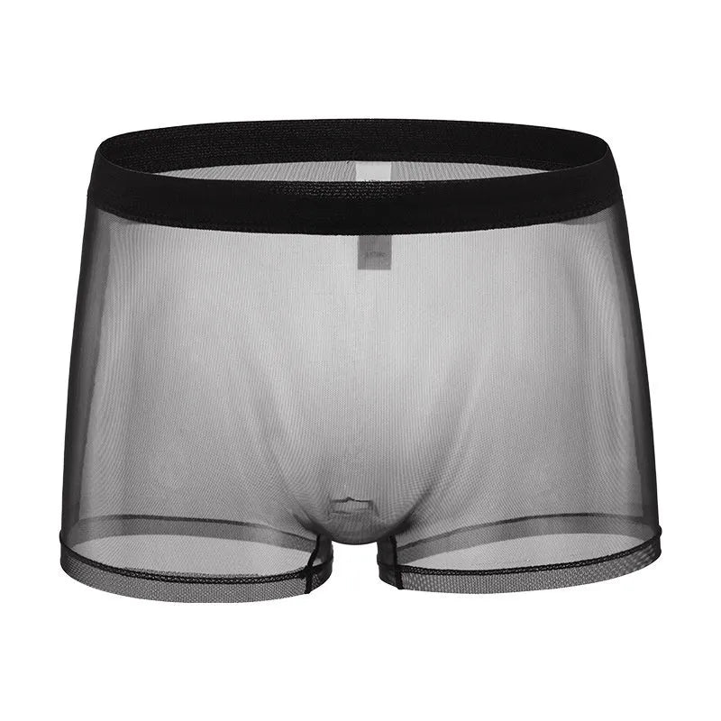 Men's thin sheer mesh boxer briefs in multiple colours with low waist design