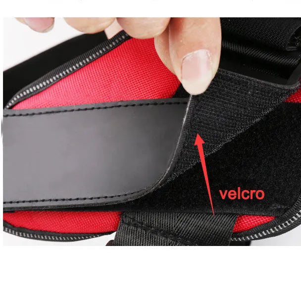 Adjustable no-pull dog harness with reflective strips and a sturdy handle on a dog.
