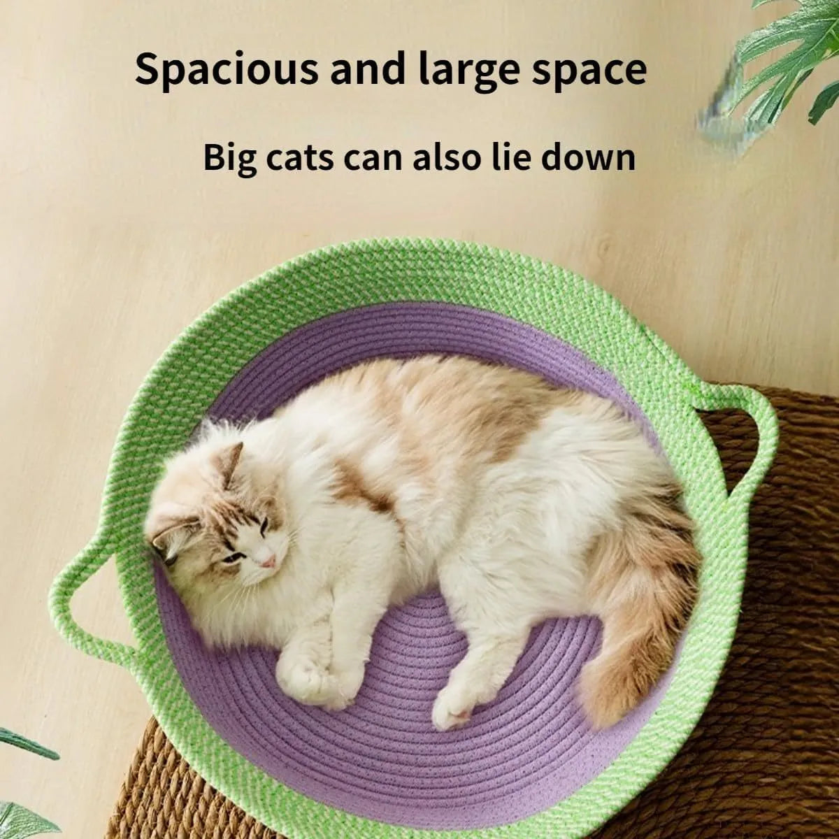 Round woven natural cotton rope cat bed in green with spiral edge, size M, on wooden floor