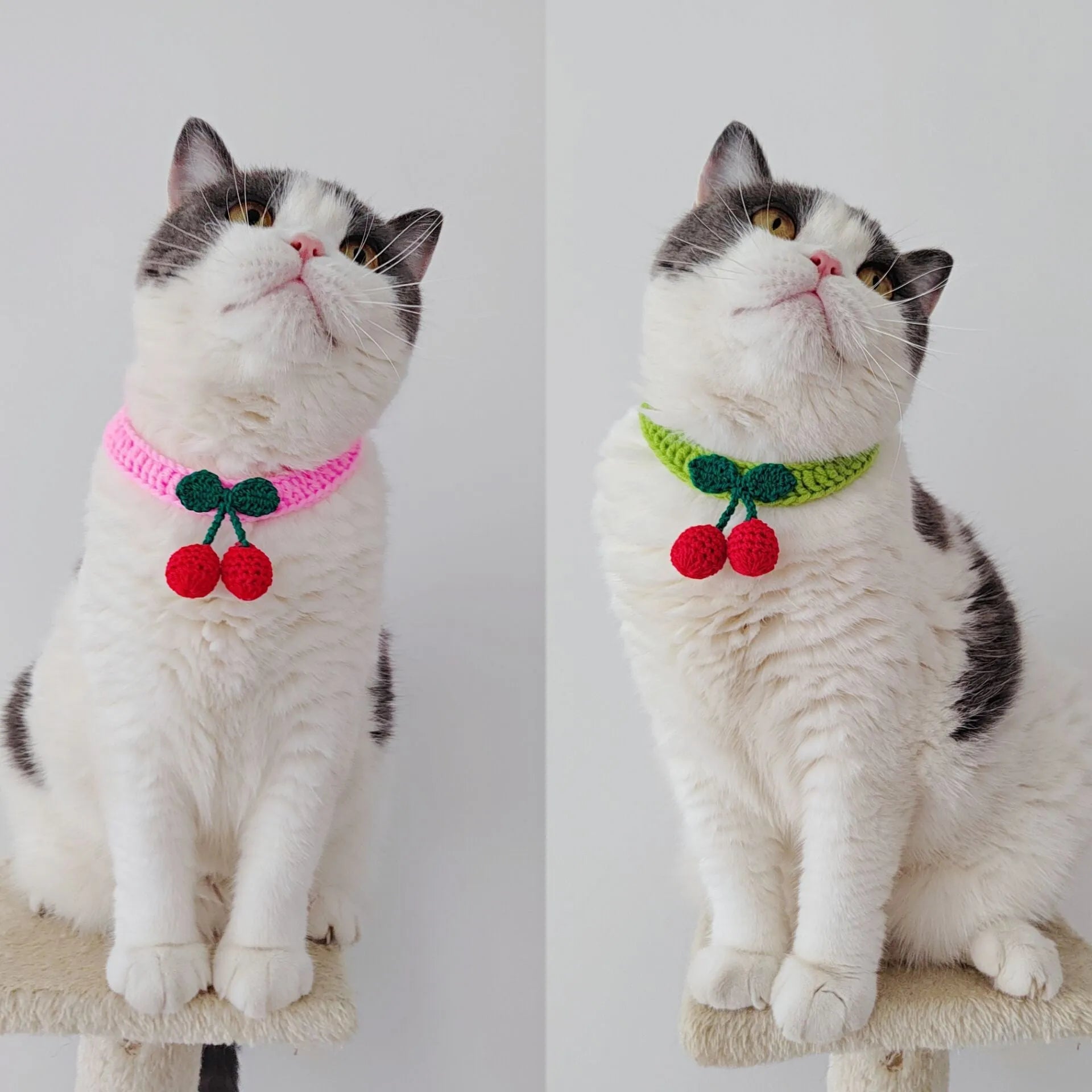Handmade knitted cat collar in cotton thread with fruit pattern, free size 60cm, princess style