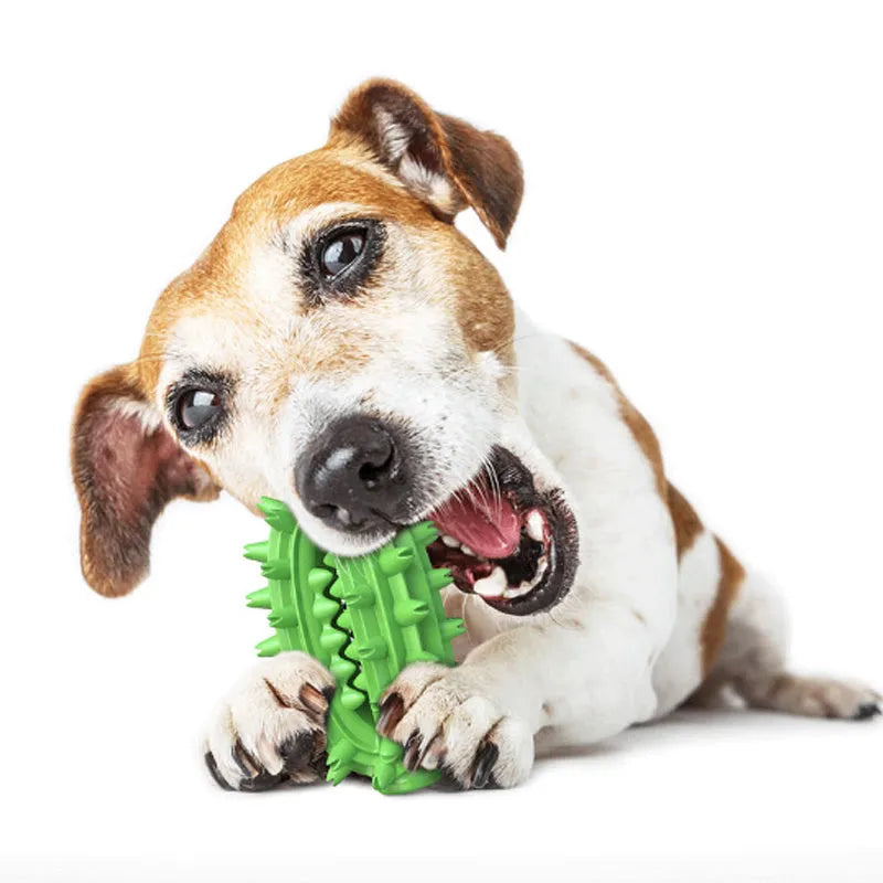 Green cactus-shaped dog toothbrush toy for dental cleaning with central treat channel
