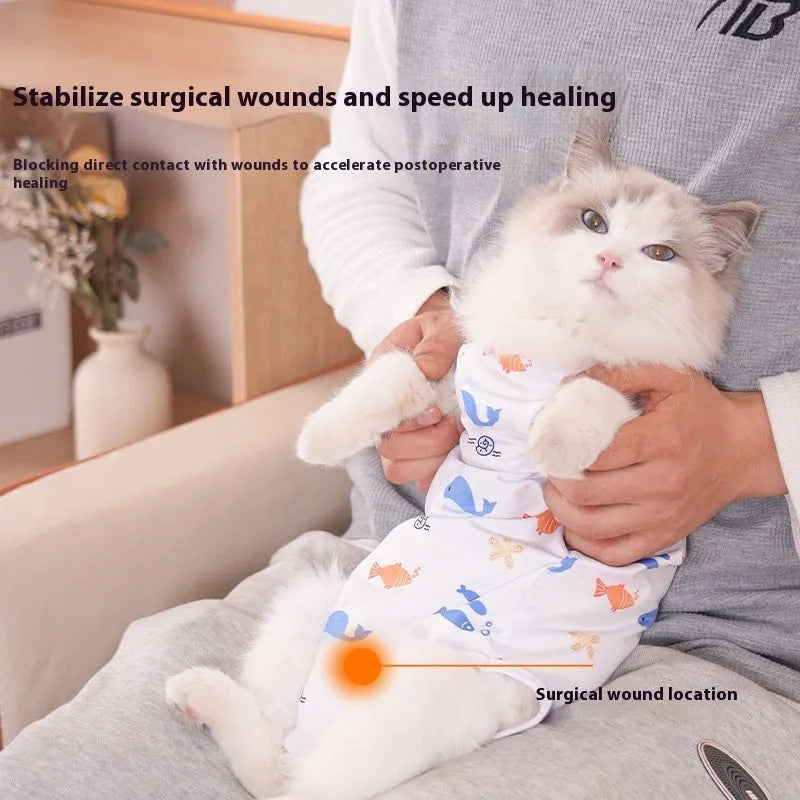 Cat wearing a polyester sterilisation recovery suit with hook-and-loop fastening on its back.