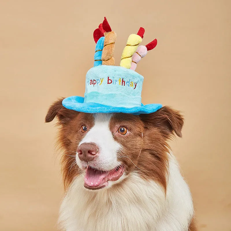 Blue dog birthday hat with attached toy measuring 21cm tall for small to medium breed celebrations