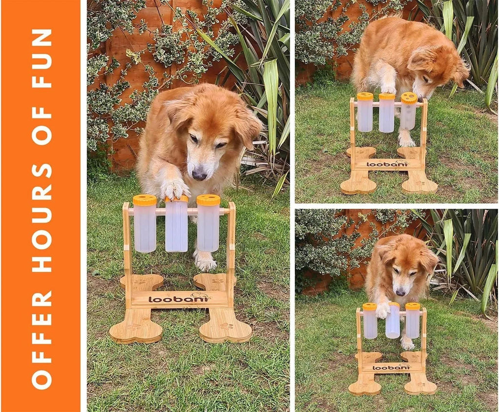 Wooden dog puzzle toy snack dispenser feeder in natural wood colour, showing size and design.
