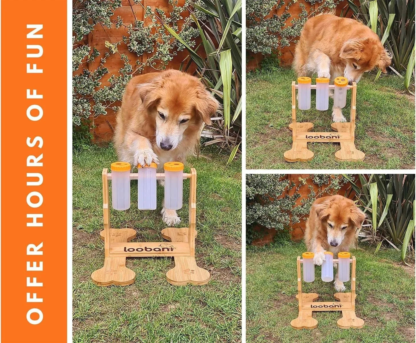 Wooden dog puzzle toy snack dispenser feeder in natural wood colour, showing size and design.
