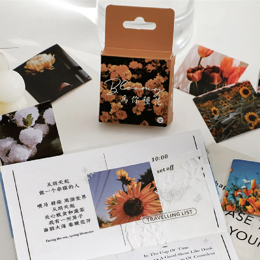 Box set of 46 decorative stickers with six Nordic nature themes including mountains, sea, flowers and sunsets