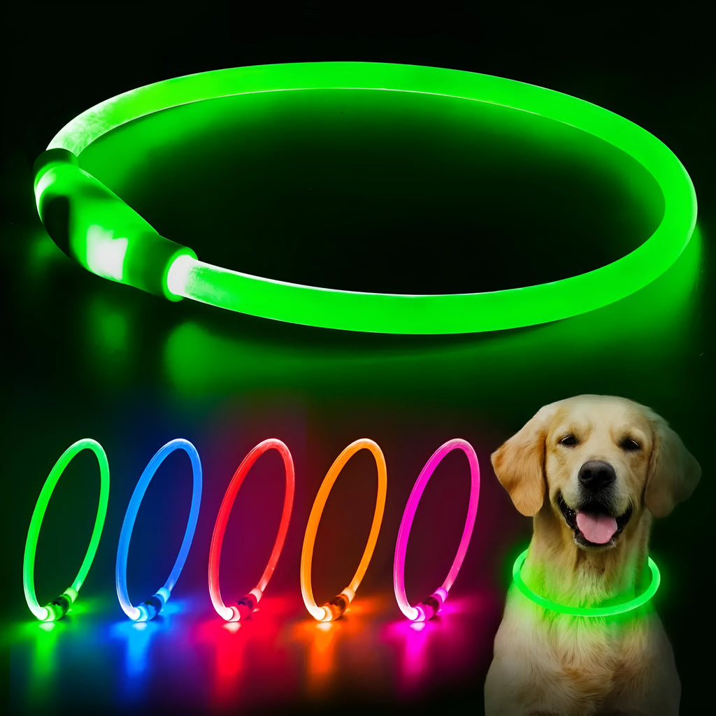 Blue USB rechargeable LED dog collar glowing with adjustable strap and USB charging port