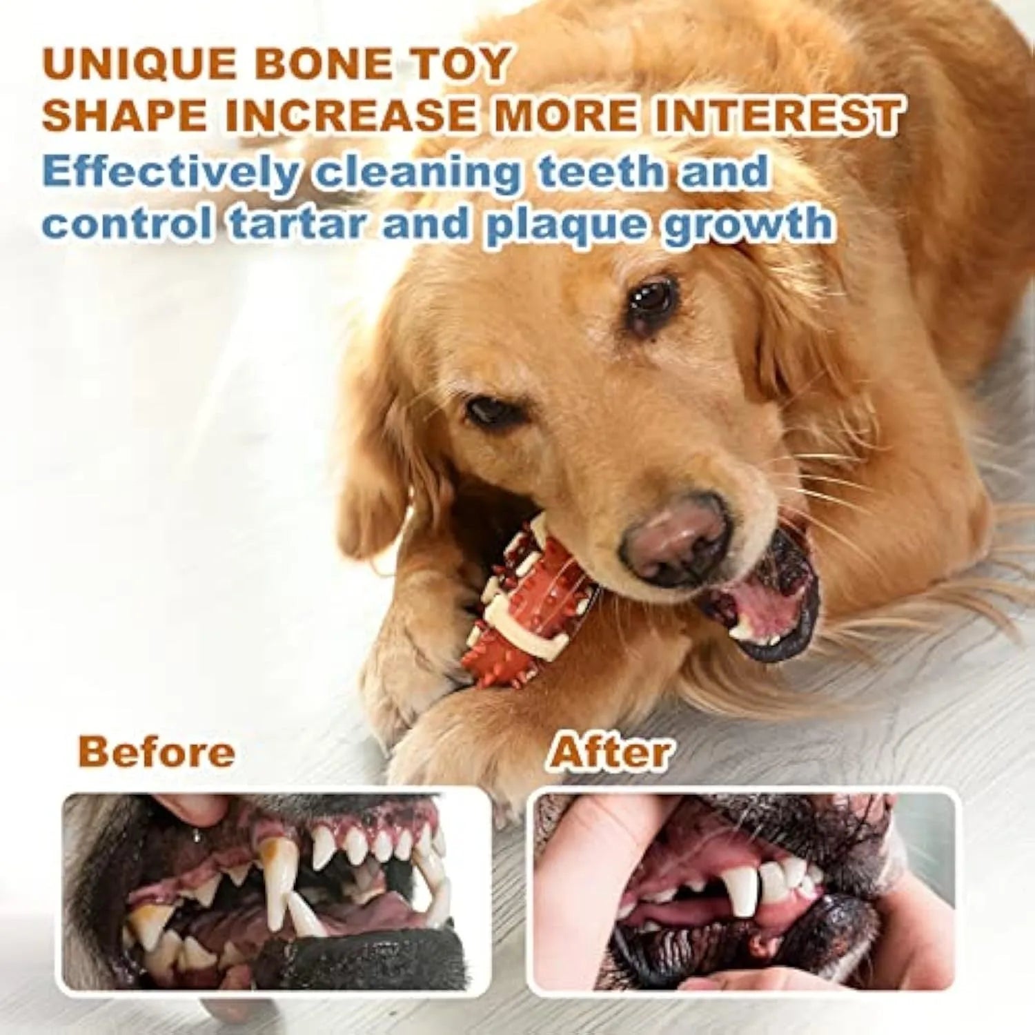 Natural rubber bone-shaped dog teeth grinding toy shown in two sizes for oral health and anxiety relief