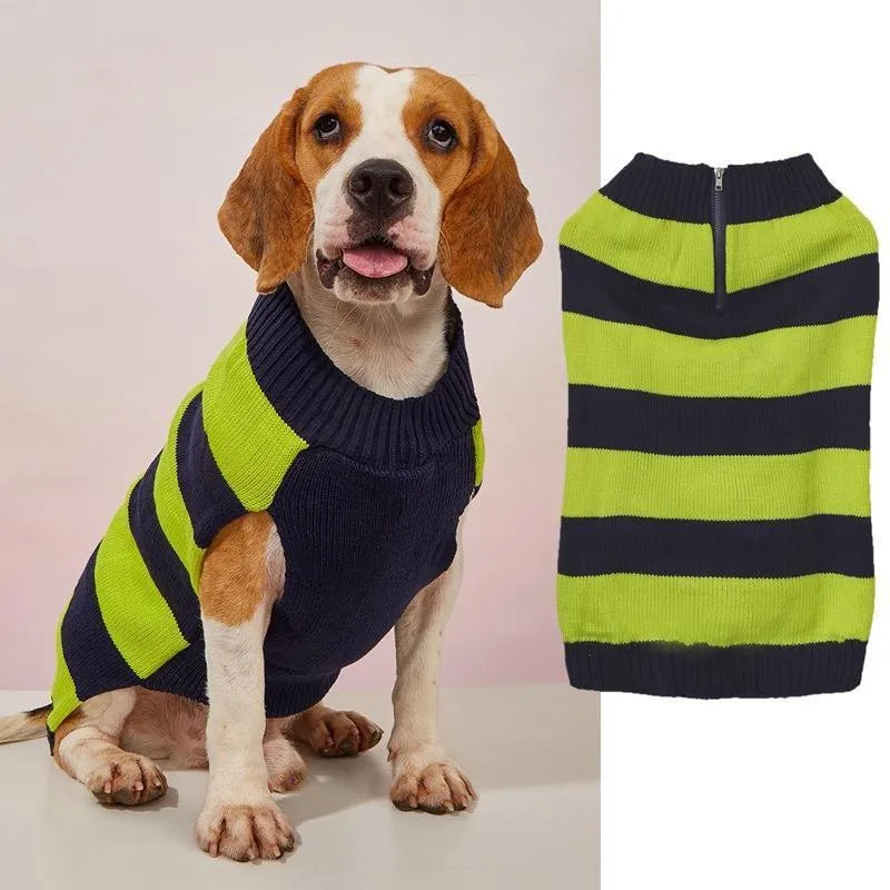 Small dog wearing a grey sweater with a horizontal blue zipper pocket on the side.