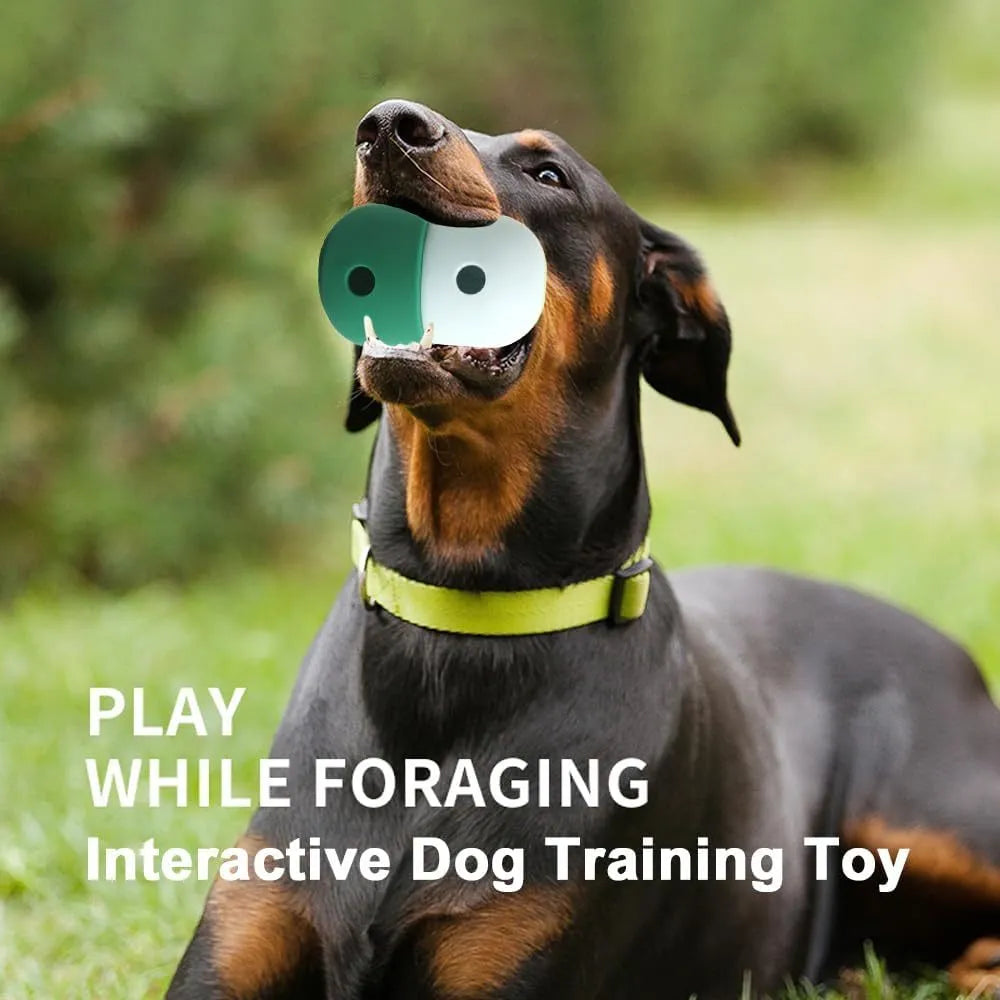 Colourful dog treat dispensing puzzle ball on a green background