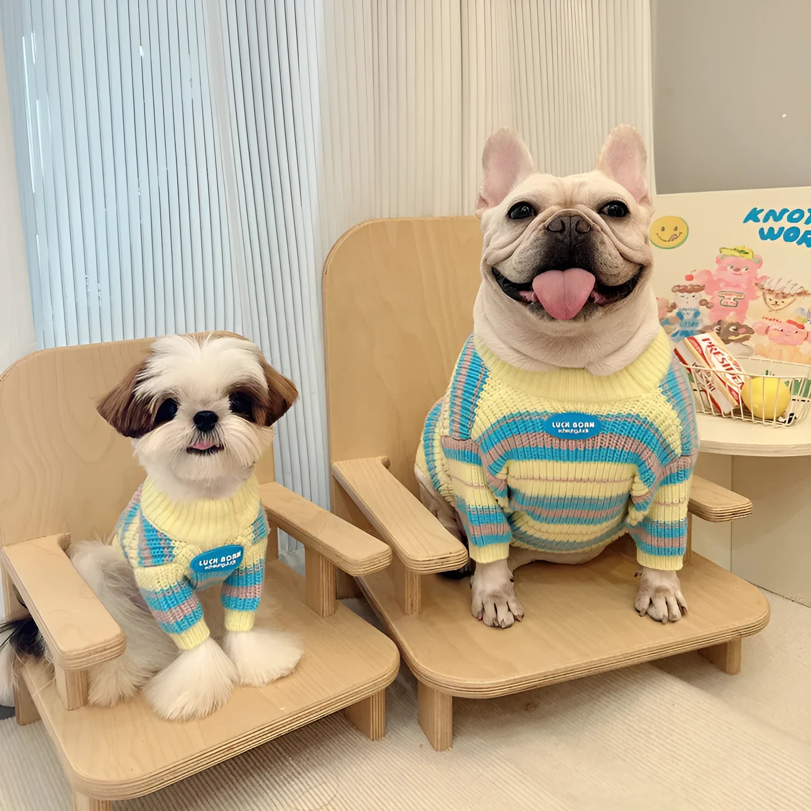 Blue and yellow striped wool dog sweater for small breeds in size L