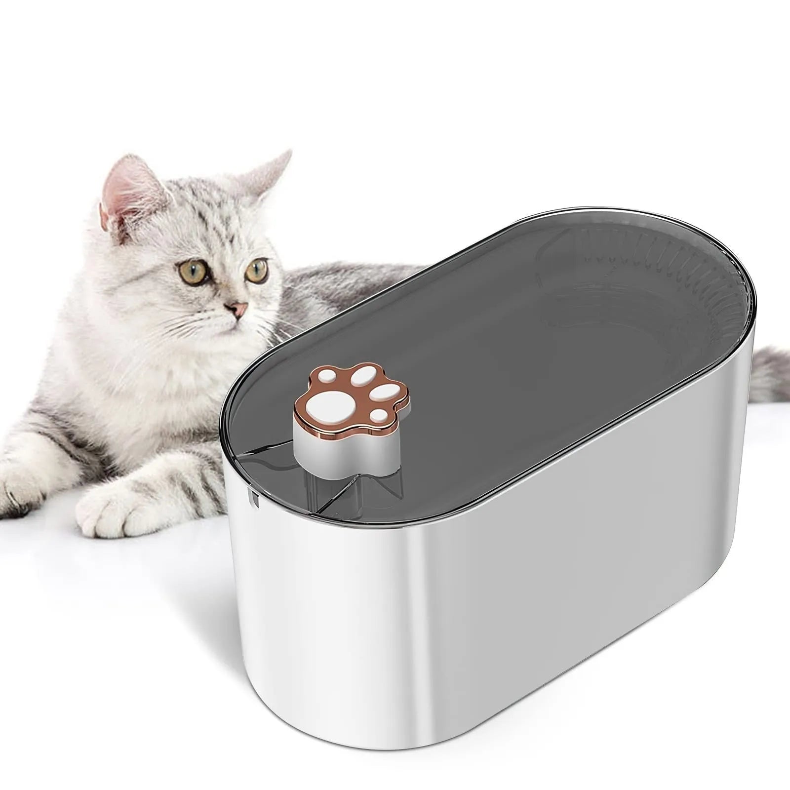 Berlin blue automatic pet water fountain with LED light on a 3-litre BPA-free plastic base