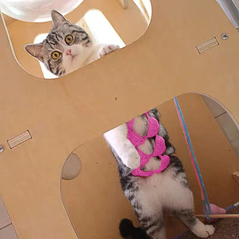 Cat wearing two-piece bikini costume in choice of five colours for pet parties