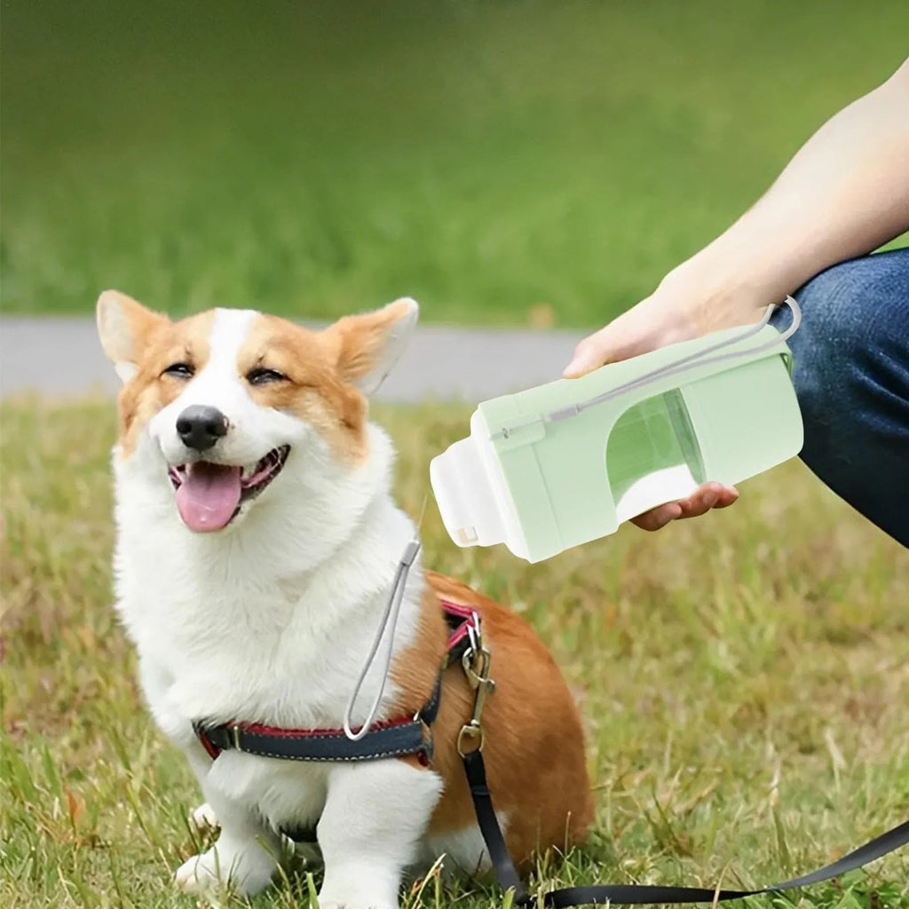 Gray 2-in-1 travel dog water bottle and feeder with lanyard, showing folding design and drinking cup.