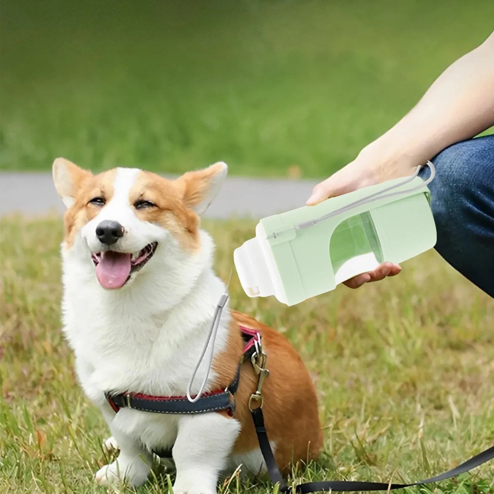Gray 2-in-1 travel dog water bottle and feeder with lanyard, showing folding design and drinking cup.