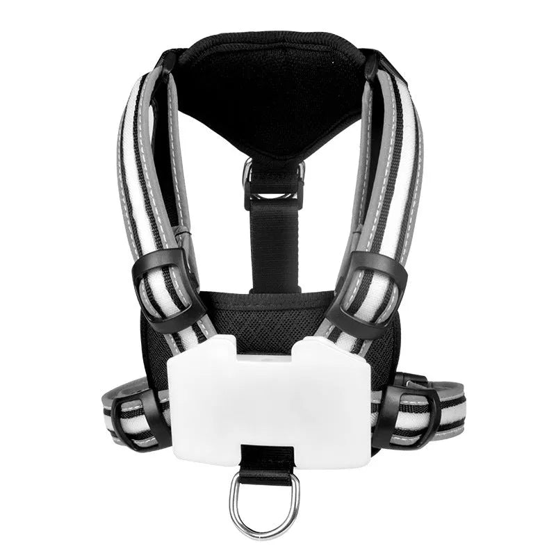 Nylon luminous dog hand holding rope with seven-colour transformation and charging cable