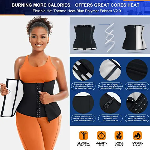 Adjustable neoprene abdominal girdle waist belt shown in blue and silver colour options.