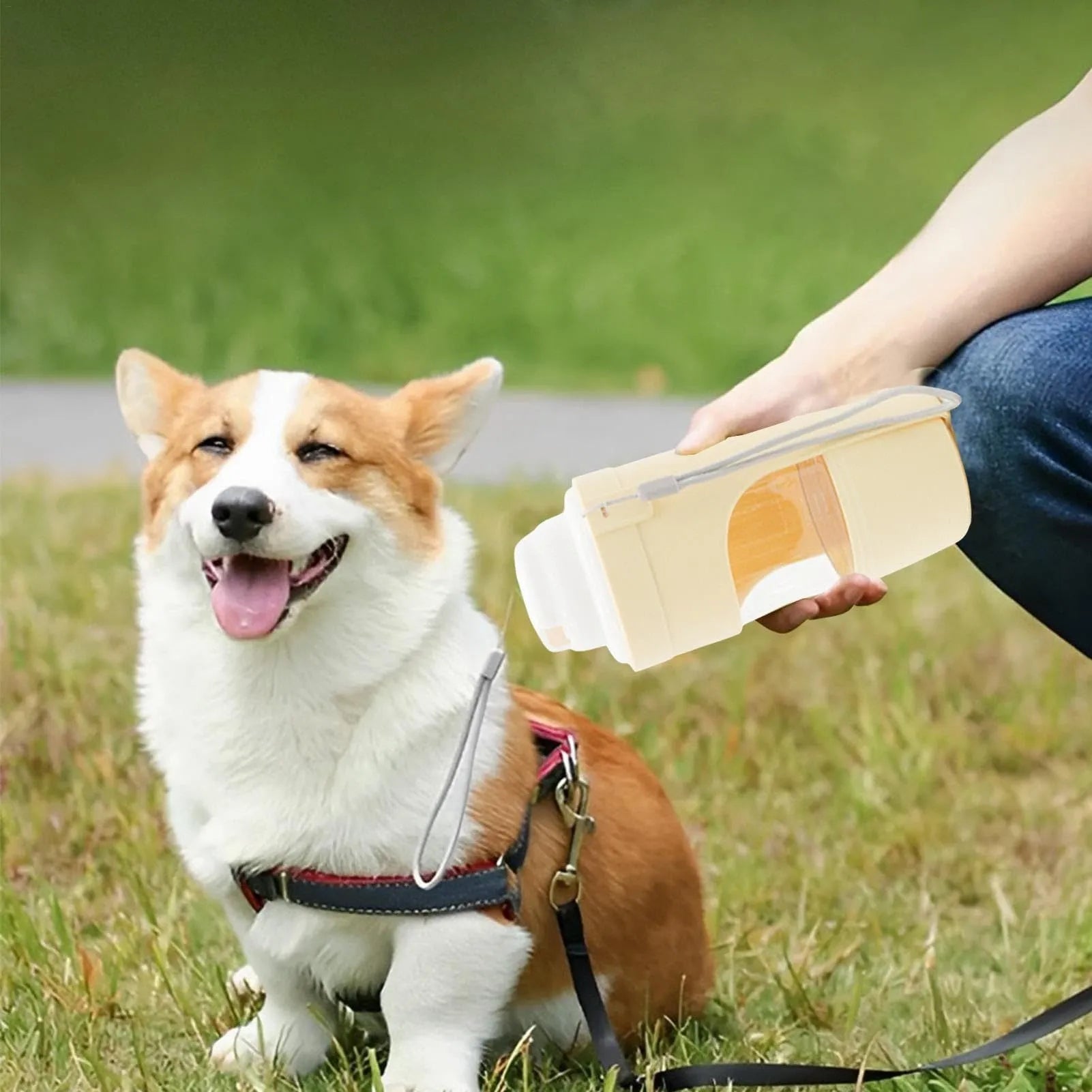 Gray 2-in-1 travel dog water bottle and feeder with lanyard, showing folding design and drinking cup.