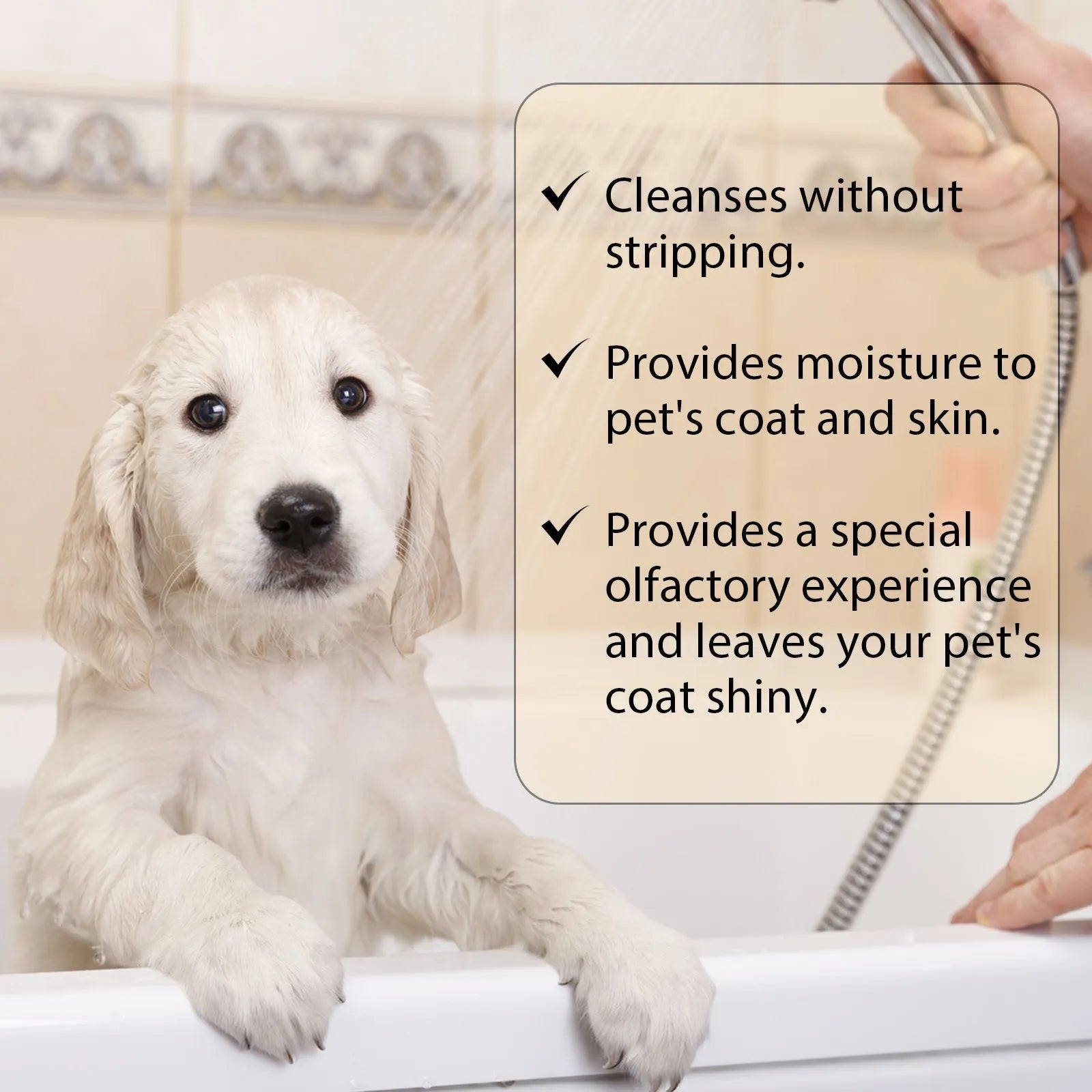Pet shampoo bottle for dogs and cats in 100ml and 300ml sizes for mild cleansing