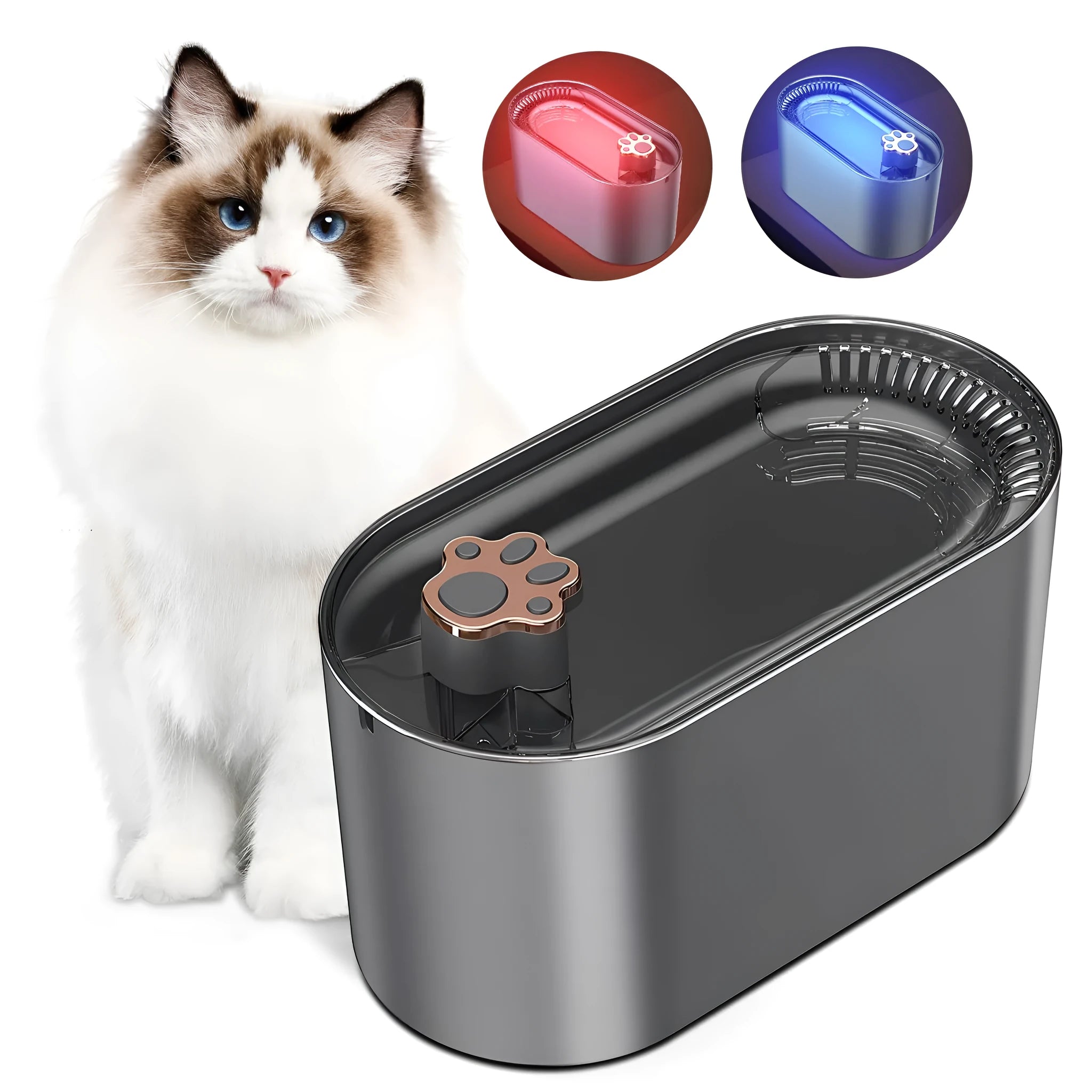 Berlin blue automatic pet water fountain with LED light on a 3-litre BPA-free plastic base