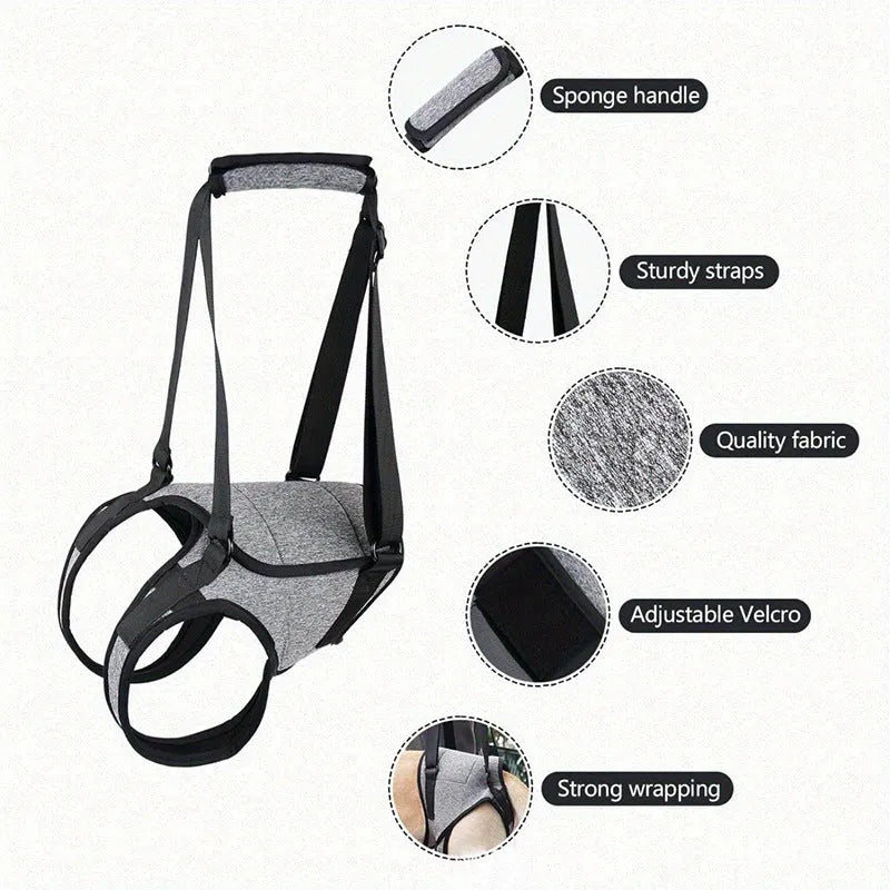 Neoprene dog recovery belt for rear leg support showing adjustable design and sizing options