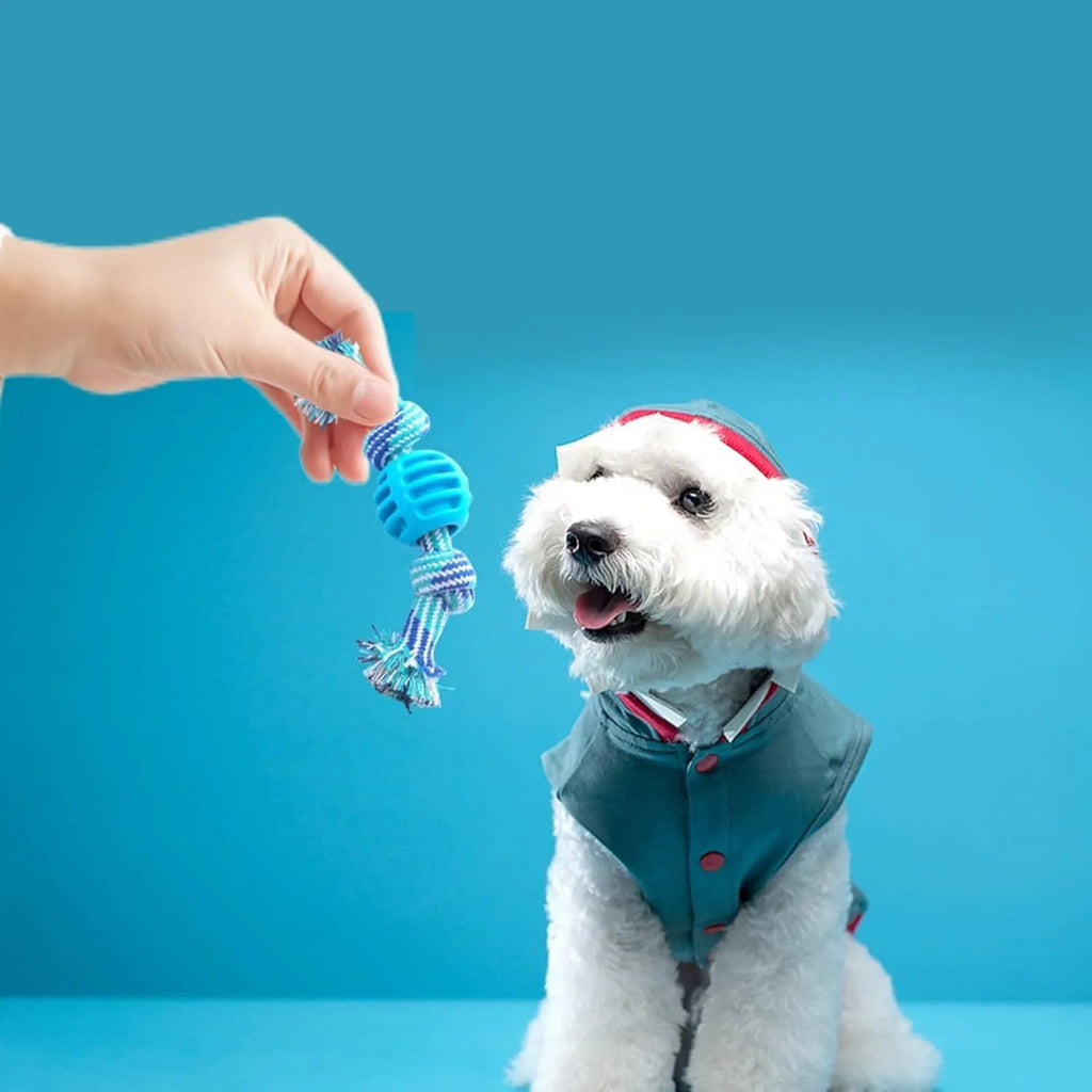 Blue dog chew toy with molar design and rope elements for teeth cleaning and interactive play
