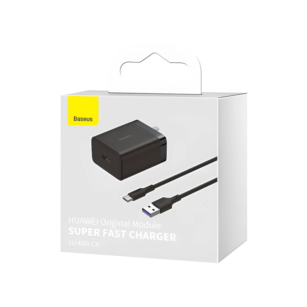 USB charger 12V 2000mA direct charge lithium battery charger Black White 220V US plug