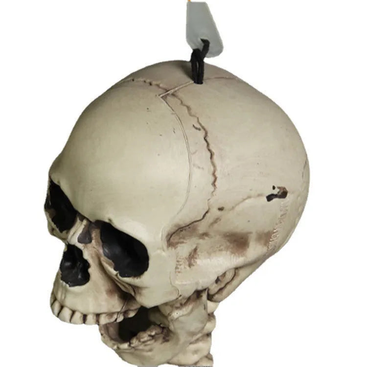 170cm tall plastic skeleton prop with movable jaw for Halloween decorations and educational displays