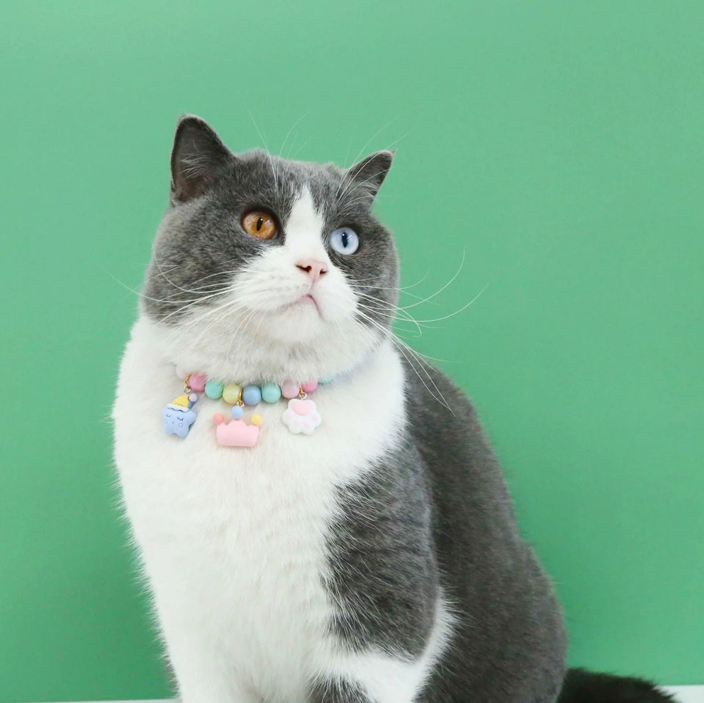 Macaron-coloured resin pet collar headdress with moon, meteor, and crown decorations on a small dog